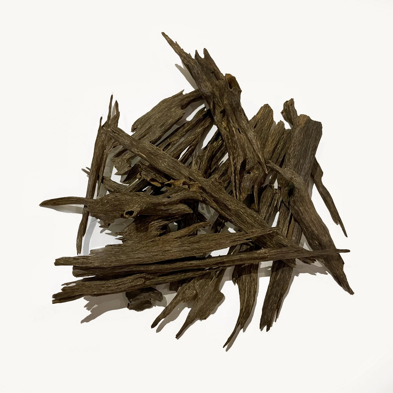 Jora Royal Jora Royal