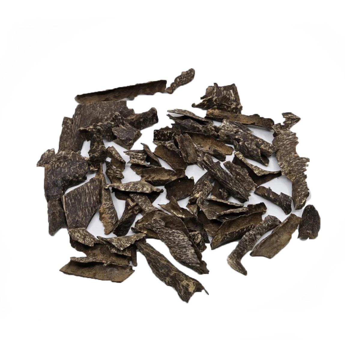 Oud Trad under water